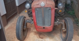 Prodajem traktor IMT Ferguson 533.