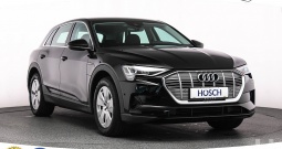 Audi e-tron 50 Quattro 313 KS, ZRAČNI+LED+VIRT +TEM+ASIST