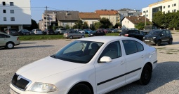 Škoda Octavia 1.9 TDI, 2007.g.