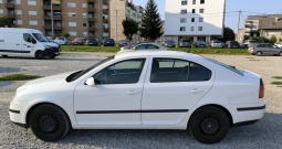 Škoda Octavia 1.9 TDI, 2007.g.