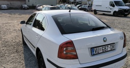 Škoda Octavia 1.9 TDI, 2007.g.