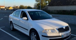 Škoda Octavia 1,9 TDI 2007