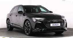 Audi e-tron 50 kWh quattro 2xS-Line 313 KS, ZRAČNI+ACC+KAM+GR SJED+LED+ASIST