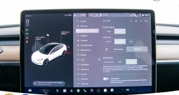 Tesla Model 3 Performance AWD 510 KS, ACC+KAM+LED+GR SJED+NAVI+ASIST