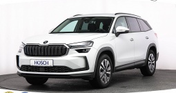 Škoda Kodiaq 2.0 TDI 4x4 DSG Selection 193 KS, ACC+KAM+LED+GR SJED+NAVI+ASIST