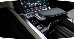 Audi e-tron 50 quattro Aut. 313 KS, ZRAČNI+ACC+KAM+GR SJED+LED+NAVI+ASIST