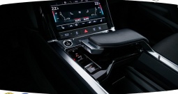 Audi e-tron 50 quattro 313 KS, ZRAČNI+KAM+LED+GR SJED+NAVI+ASIST