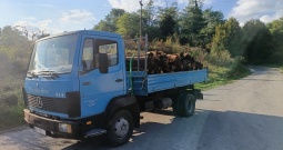 Mercedes 914 kiper zamjena za vucnu