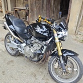 Honda Hornet CB600 A2 Kategorija