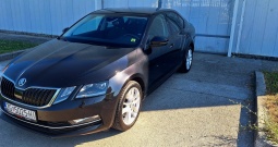 ŠKODA OCTAVIA Style 2.0 TDI DSG 2019, 120.000 km