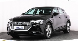 Audi e-tron 50 quattro 313 KS, ZRAČNI+KAM+LED+GR SJED+NAVI+ASIST