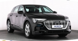 Audi e-tron 50 quattro 313 KS, ZRAČNI+KAM+LED+GR SJED+NAVI+ASIST