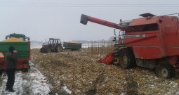 Kombajn Massey Ferguson 25