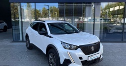 PEUGEOT 2008 STYLE PureTech 130 EAT8, 24.900,00 €