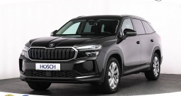 Skoda Kodiaq TDI 4x4 Selection 193 KS, ACC+ASIST+LED+GR SJED+PDC+KAM