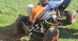 Atv Bashan Quad 250 sa vodenim hlađenjem, 4 brzine + rikverc