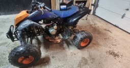 Atv Bashan Quad 250 sa vodenim hlađenjem, 4 brzine + rikverc