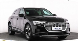 Audi e-tron 50 quattro Advanced 313 KS, ZRAČNI+KAM+GR SJED+LED+NAVI