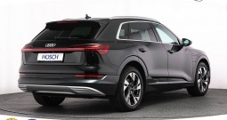 Audi e-tron 50 quattro Advanced 313 KS, ZRAČNI+KAM+GR SJED+LED+NAVI