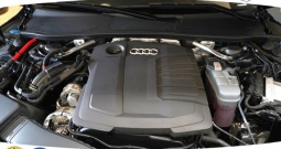 Audi A7 Sportback 40 TDI 2.0 Quattro Aut. 204 KS, ZRAČNI+ACC+GR SJED+KAM+SOFT