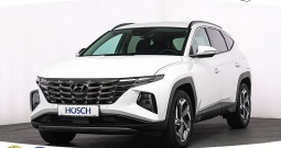 NOVO Hyundai Tucson 1.6 T-GDI 4WD Aut. Comfort 253 KS, ACC+KAM+GR SJED+LED+AS...