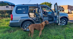 Hyundai Terracan, uredan i pouzdan.