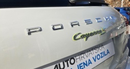 PORSCHE CAYENNE S E-Hybrid PLATINUM EDITION, 42.900,00 €