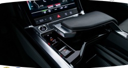 Audi e-tron 50 71 kWh quattro S-line 313 KS, ZRAČNI+LED+GR SJED+PDC+KAM+20\\"