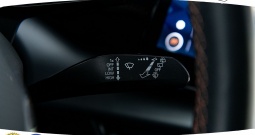 Cupra Born e-Boost 62 kWh 231 KS, LED+ACC+360+GR SJED+ASIST+PDC+19\\"