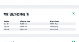 Tesla Model 3 Long Distance 4x4 498 KS, LED+NAVI+ACC+GR SJED+360°+VIRTUAL